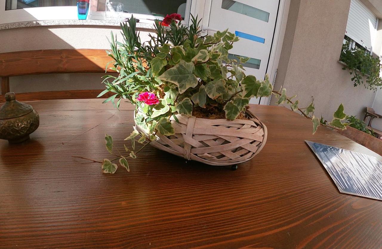 Tiktok Apartment Zadar Luaran gambar